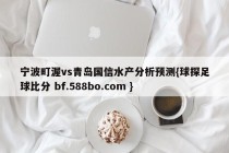 宁波町渥vs青岛国信水产分析预测{球探足球比分 bf.588bo.com }